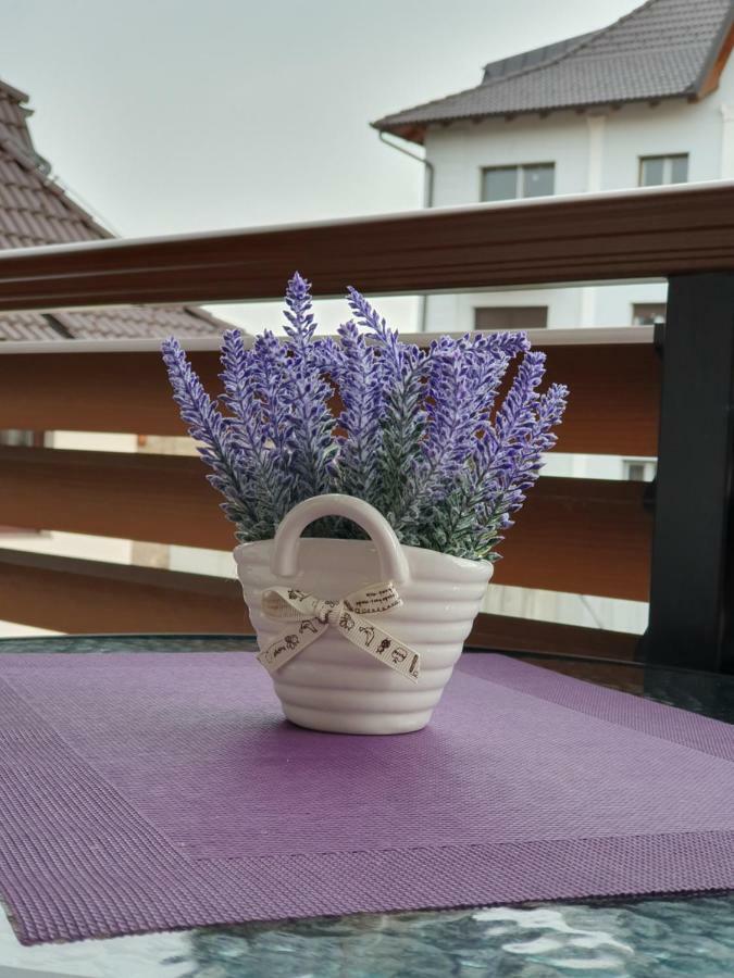 Zlatibor Hills Lara 아파트 호텔 외부 사진