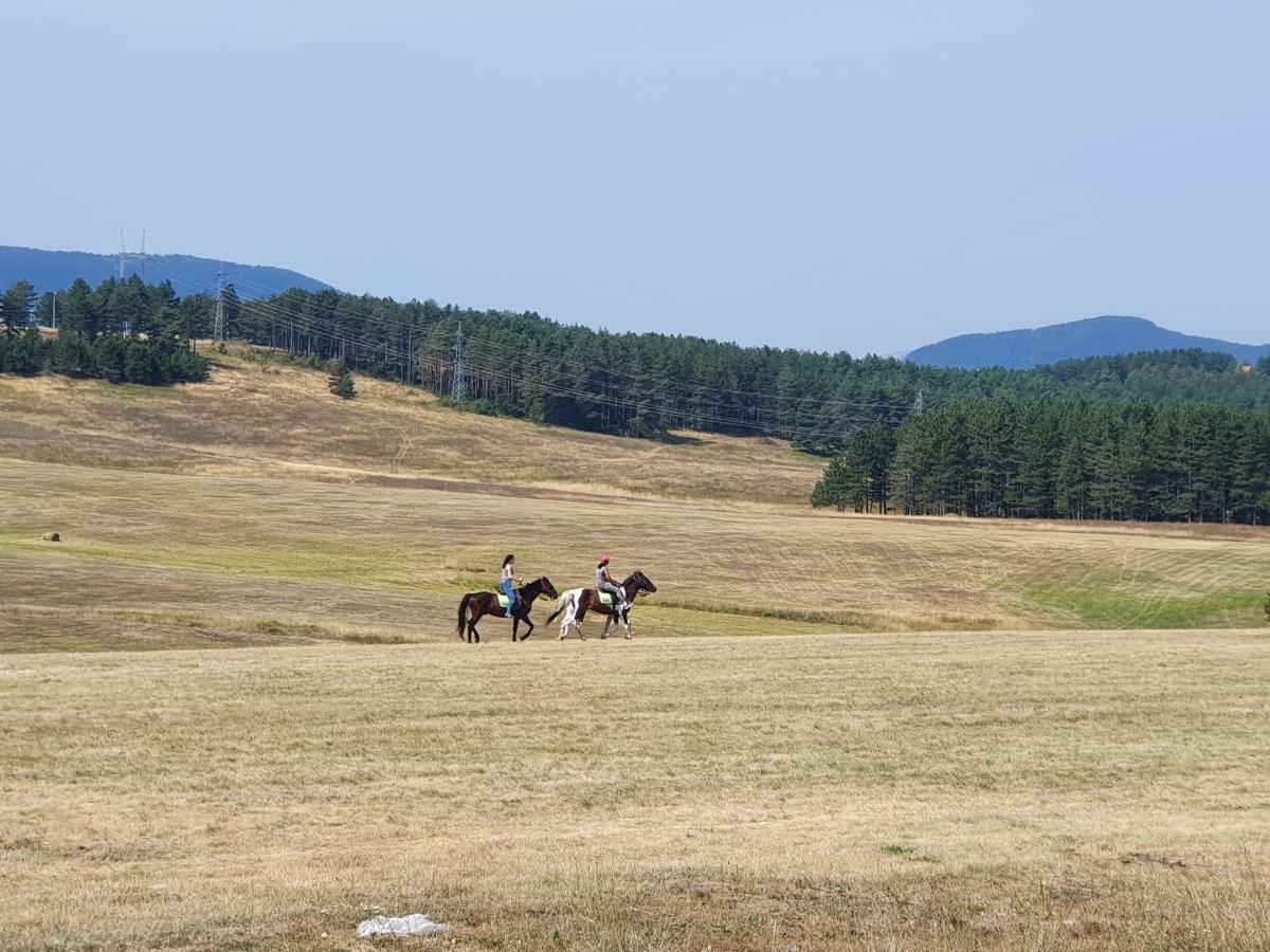 Zlatibor Hills Lara 아파트 호텔 외부 사진
